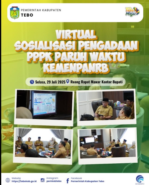 Sosialisasi Virtual P3K Paruh Waktu bersama KemenPAN-RB
